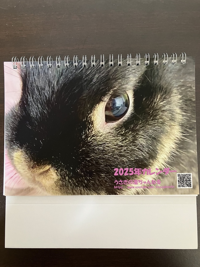 【50部限定】令和7年　うさぎの凛カレンダー