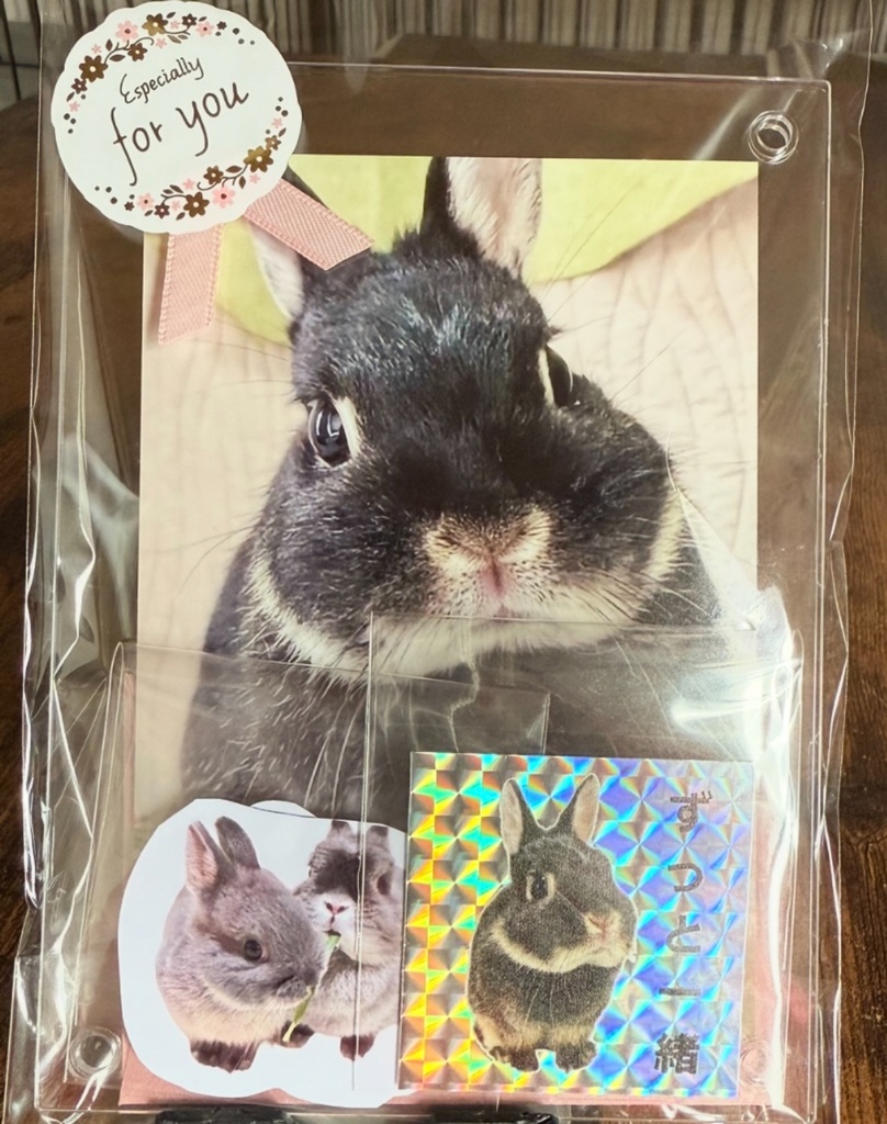 【完売ありがとう🐰✨】Bセット:受け継がれる癒しのバトンカレンダー2026 凛からの贈り物付き ver