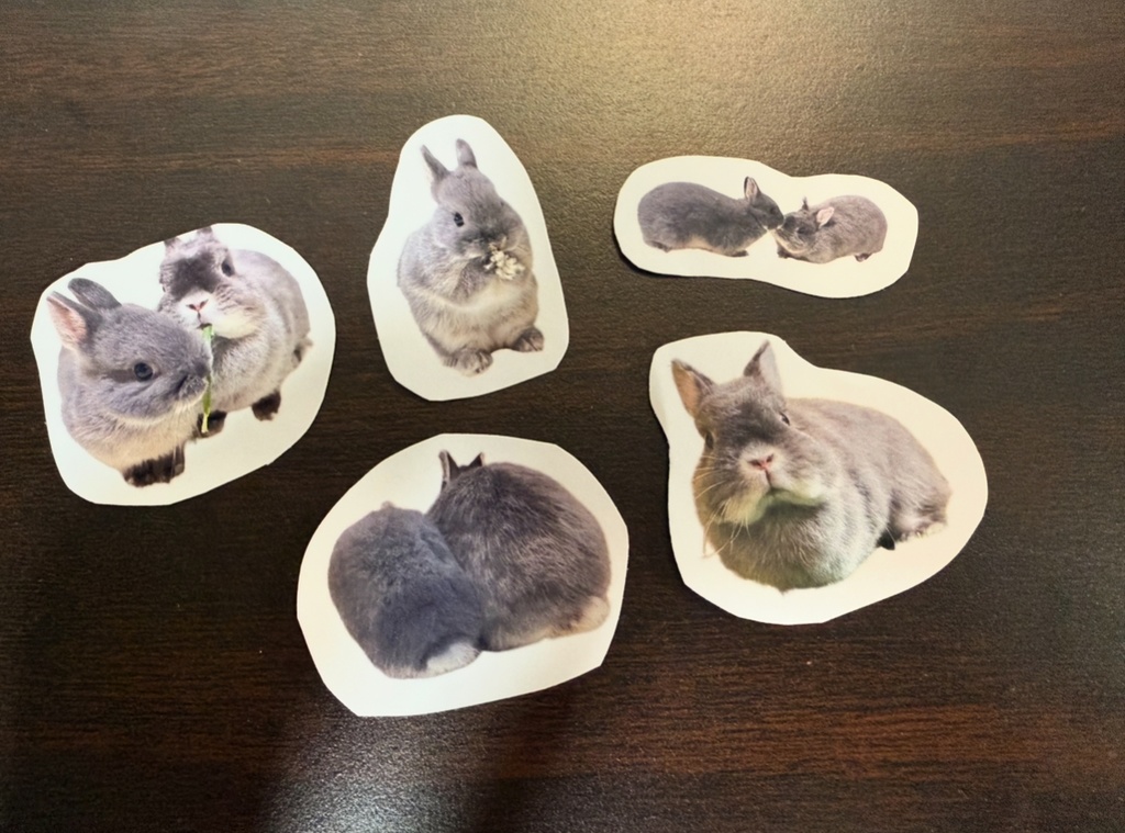 【完売ありがとう🐰✨】Bセット:受け継がれる癒しのバトンカレンダー2026 凛からの贈り物付き ver