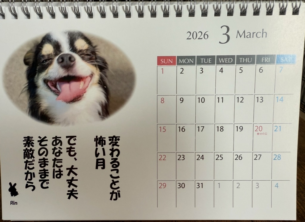 【完売ありがとう🐰✨】Bセット:受け継がれる癒しのバトンカレンダー2026 凛からの贈り物付き ver