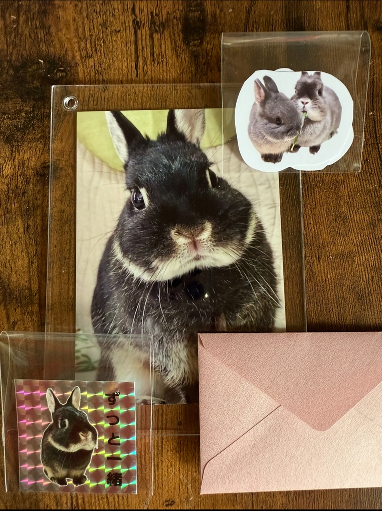 【完売ありがとう🐰✨】Bセット:受け継がれる癒しのバトンカレンダー2026 凛からの贈り物付き ver