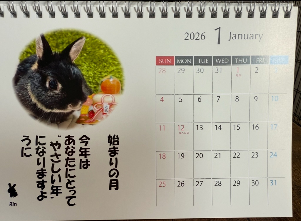 【残りわずか】Aセット:受け継がれる癒しのバトンカレンダー2026