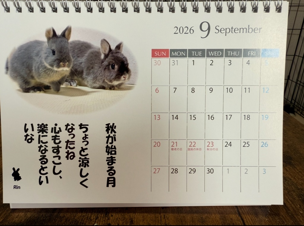 【残りわずか】Aセット:受け継がれる癒しのバトンカレンダー2026