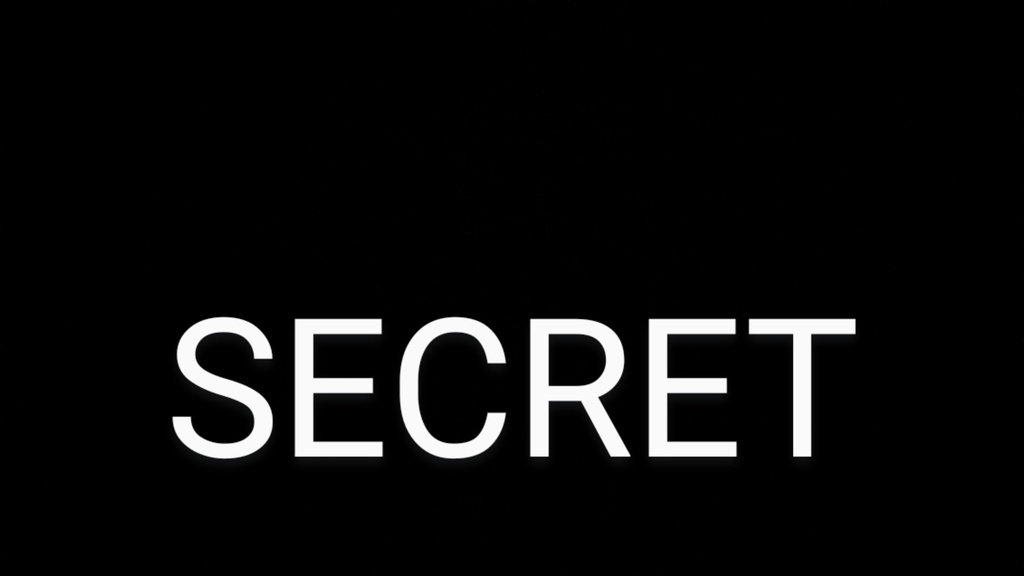 SECRET(シークレット)
