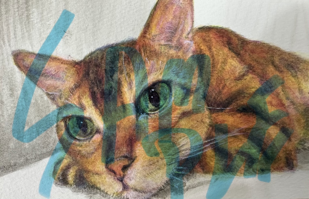 定型オーダー原画（額なし）