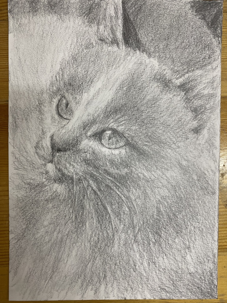 定型サイズ鉛筆ドローイング原画