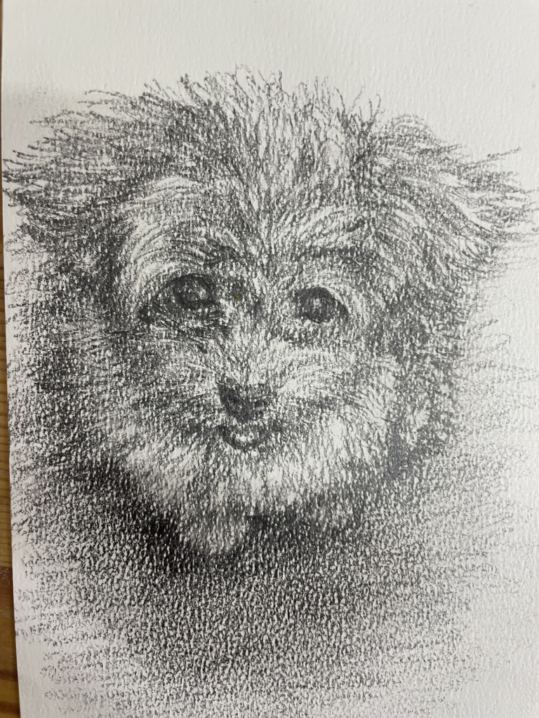 定型サイズ鉛筆ドローイング原画