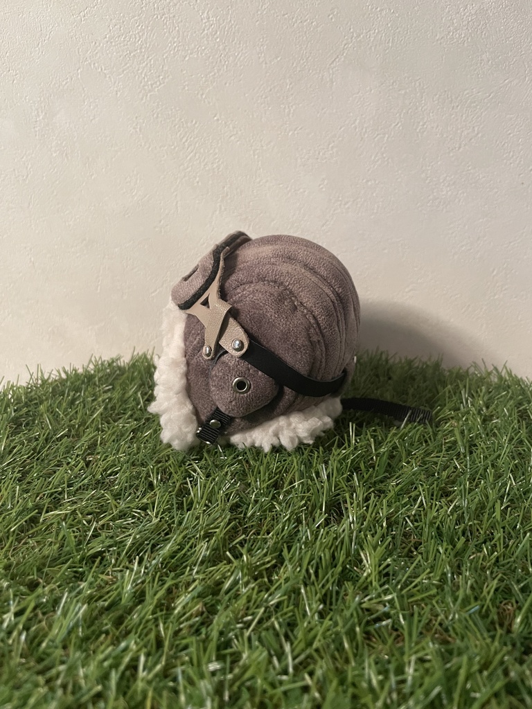 パイロットキャップ