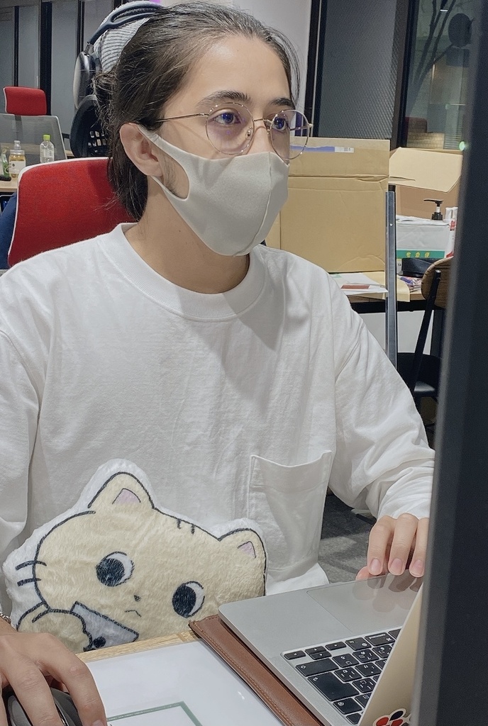 にゃんたと一緒にお仕事クッション