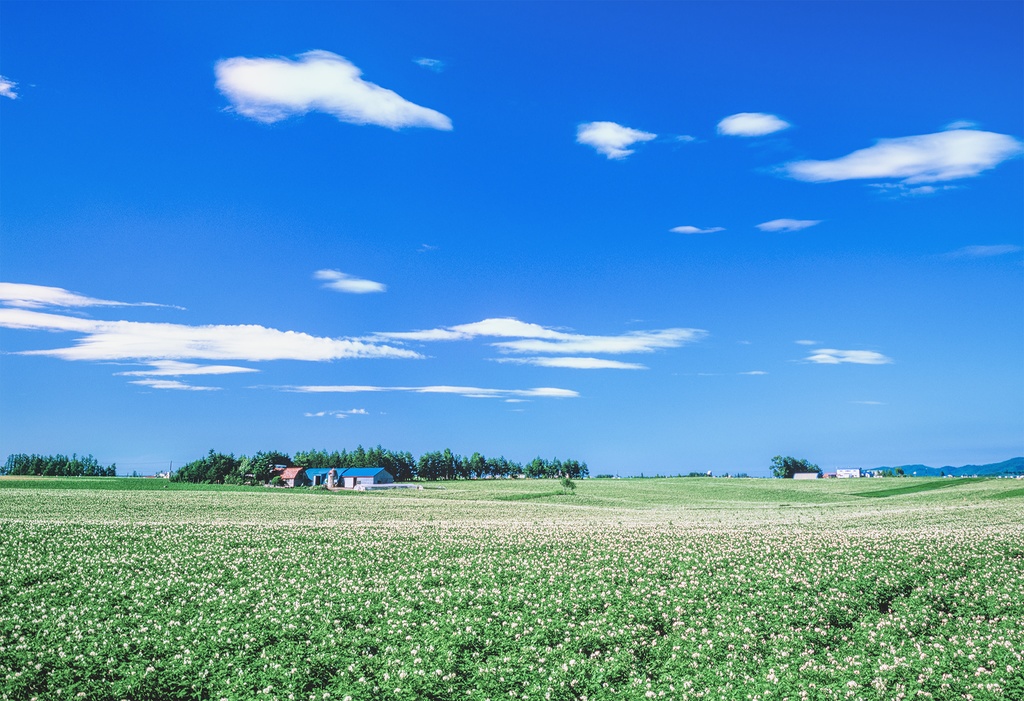 ご当地写真 大地と空 北海道 あたたかくやさしくほっこり風景 Booth