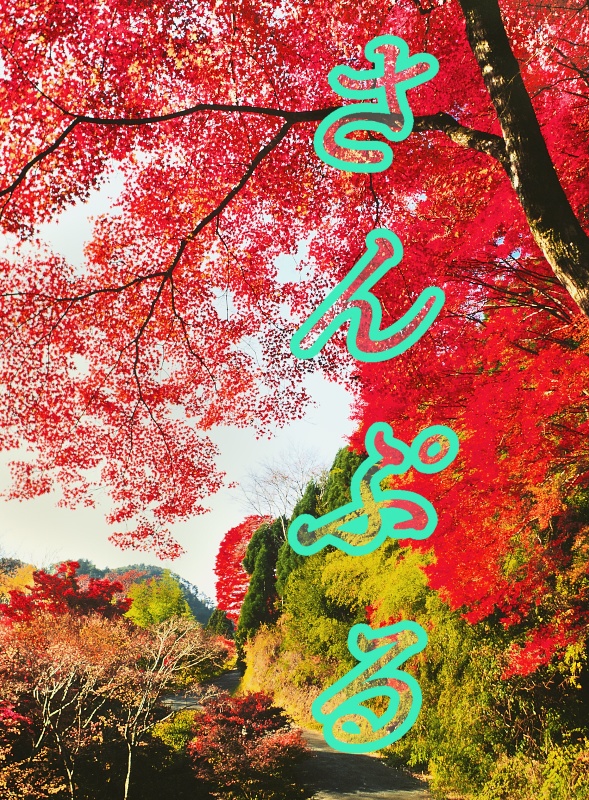 【背景. 印刷 Web素材. B5 A4 】❻