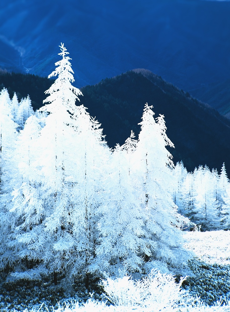 【背景. 印刷 Web素材. B5 A4 】❼