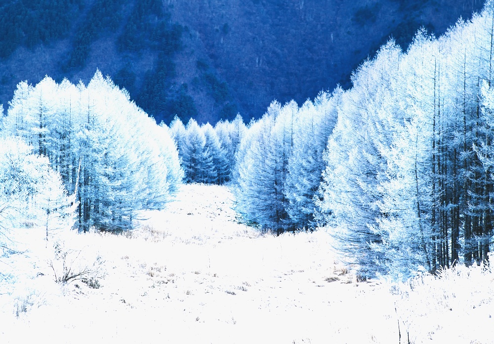 【背景. 印刷 Web素材.    B5   A4 】❽