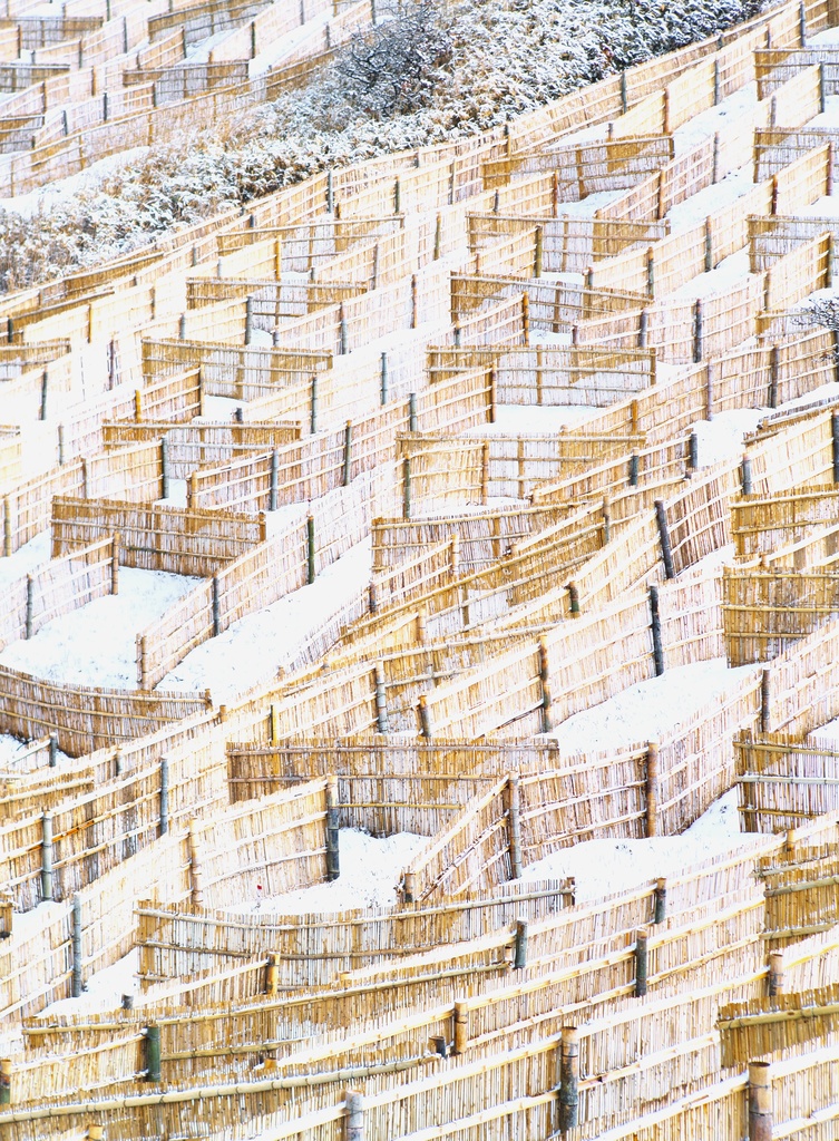 【背景. 印刷 Web素材. B5 A4 】➒