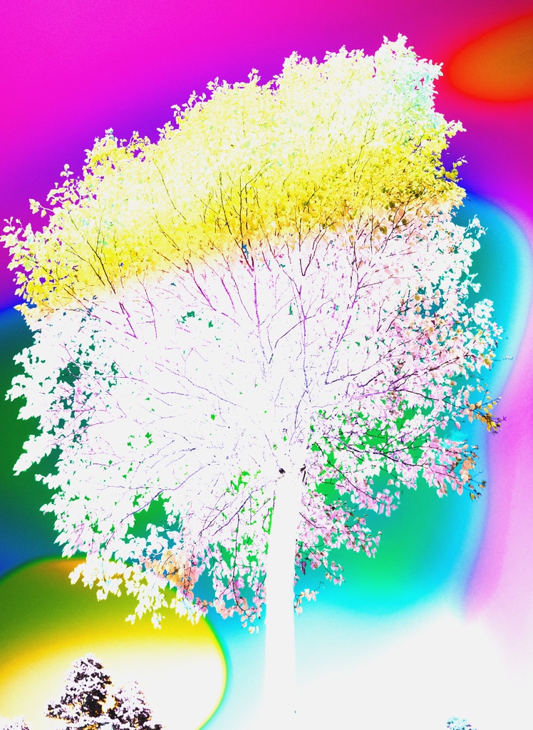 【背景. 印刷 Web素材.    B5   A4 】➓