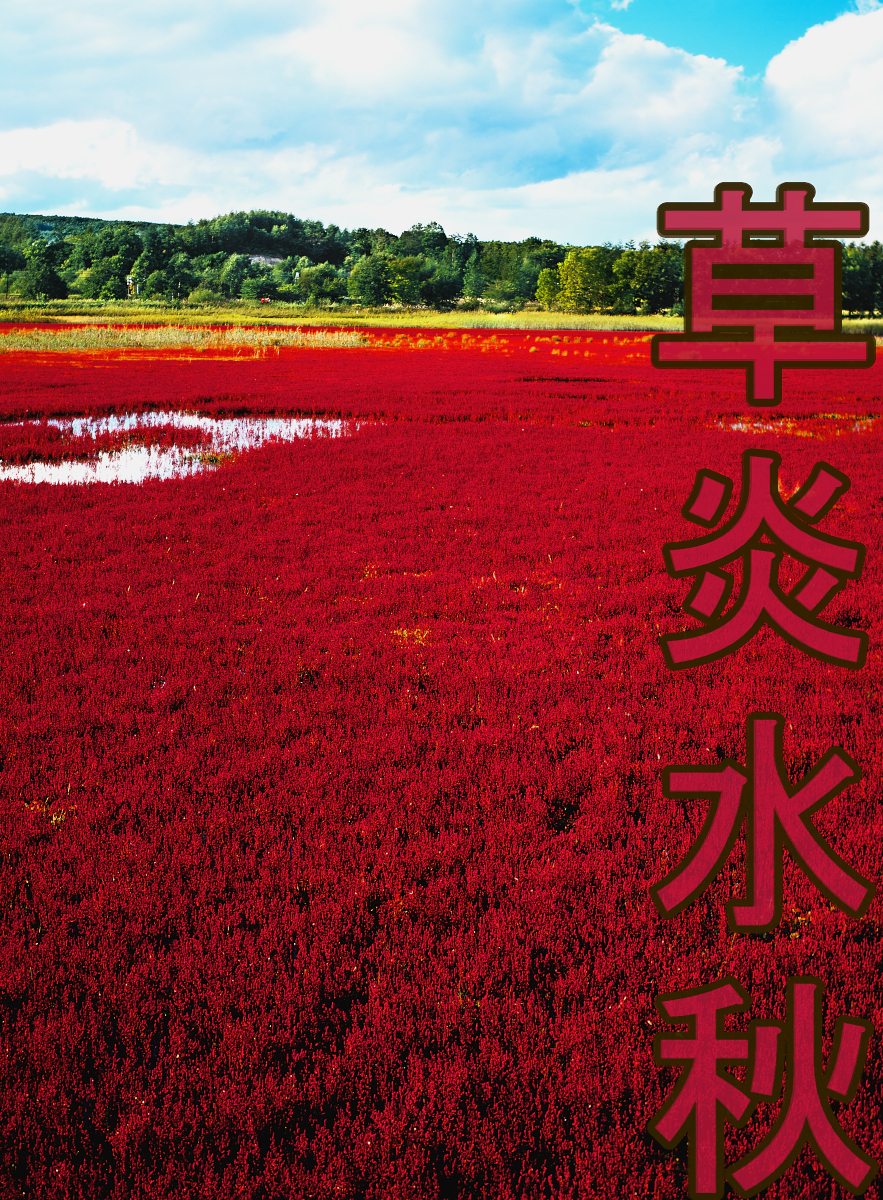 【背景. 印刷 Web素材.    B5   A4 】⓫