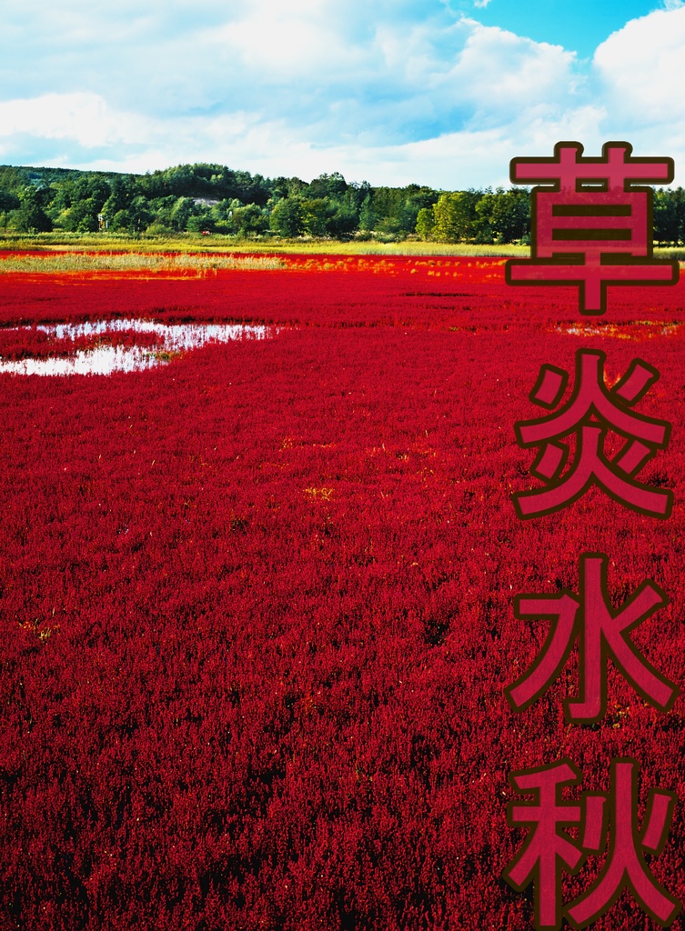 【背景. 印刷 Web素材. B5 A4 】⓫