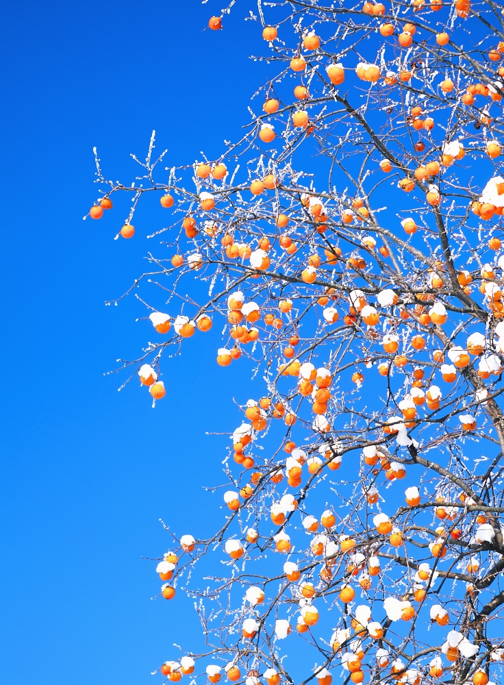 【背景. 印刷 Web素材.    B5   A4 】⓰