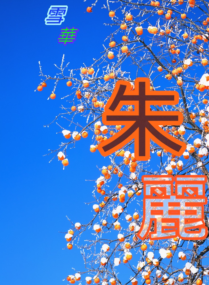 【背景. 印刷 Web素材. B5 A4 】⓰