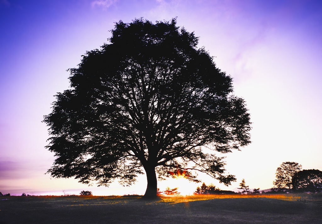 【背景. 印刷 Web素材. B5 A4 】⓱