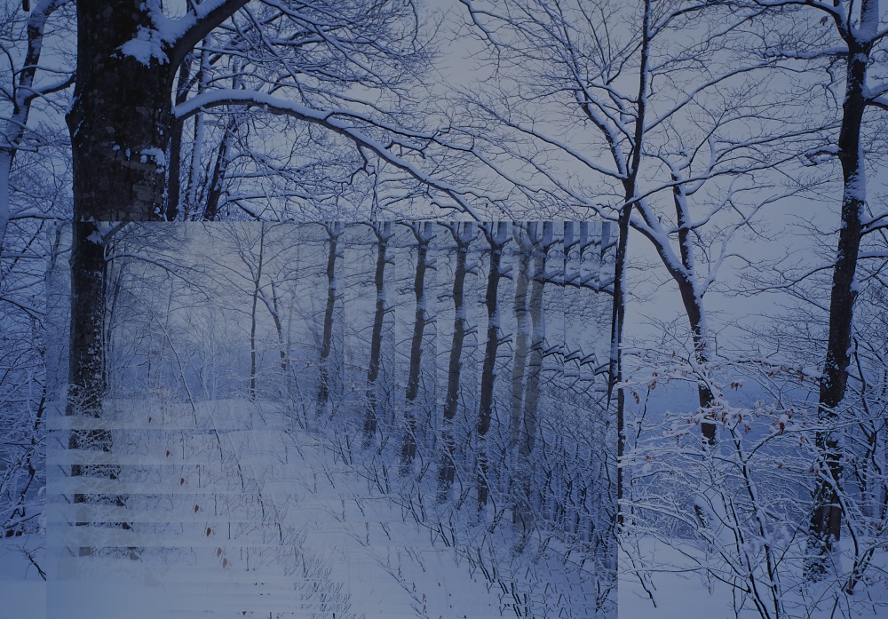 【背景. 印刷 Web素材. B5 A4 】⓳