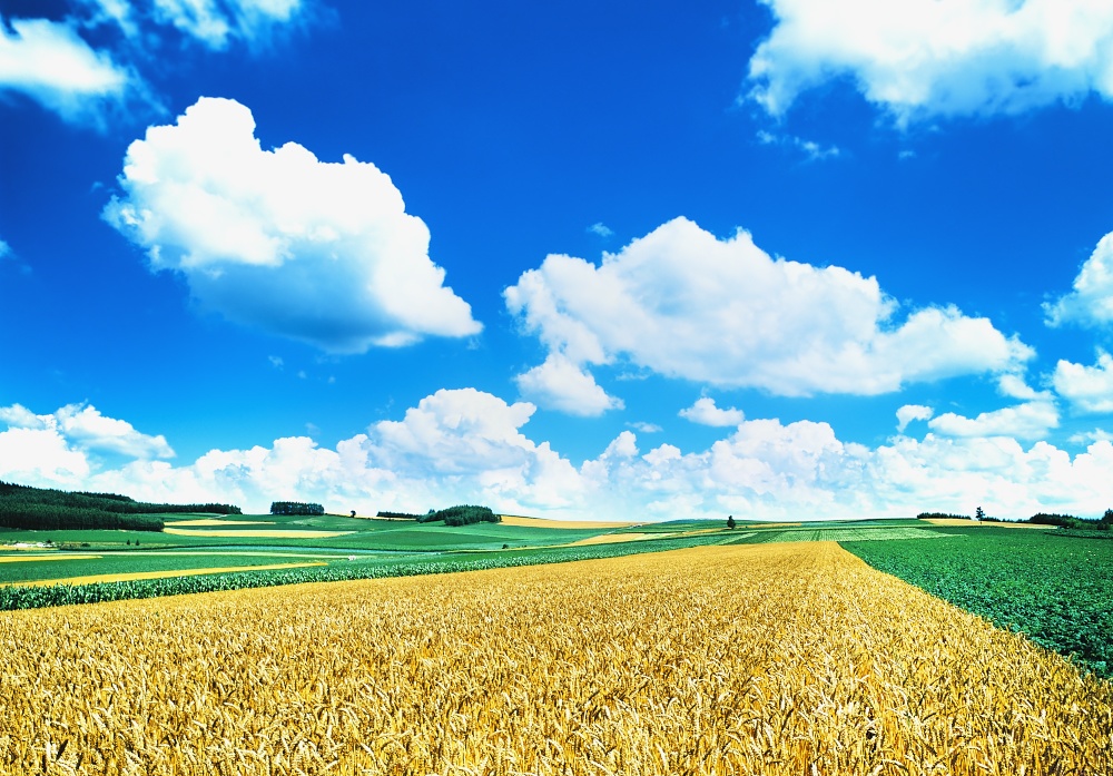 【背景. 印刷 Web素材. B5 A4 】㉔