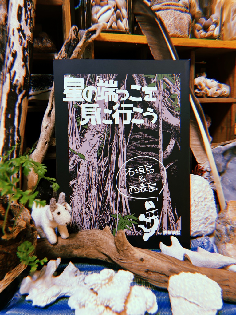 星の端っこを見に行こう