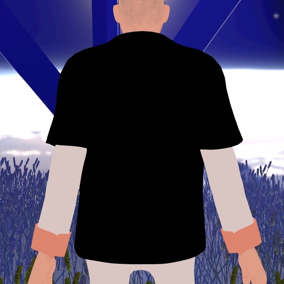 【VRoid 】カノレロズレコード オリヅナルロゴT ブうック♡