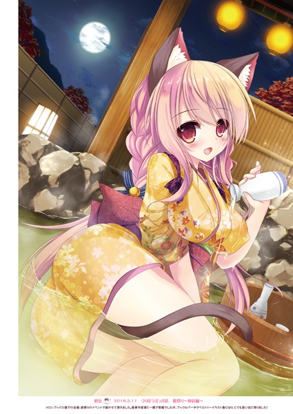 10周年画集「Hina'sTea Party~ひなのお茶会~」