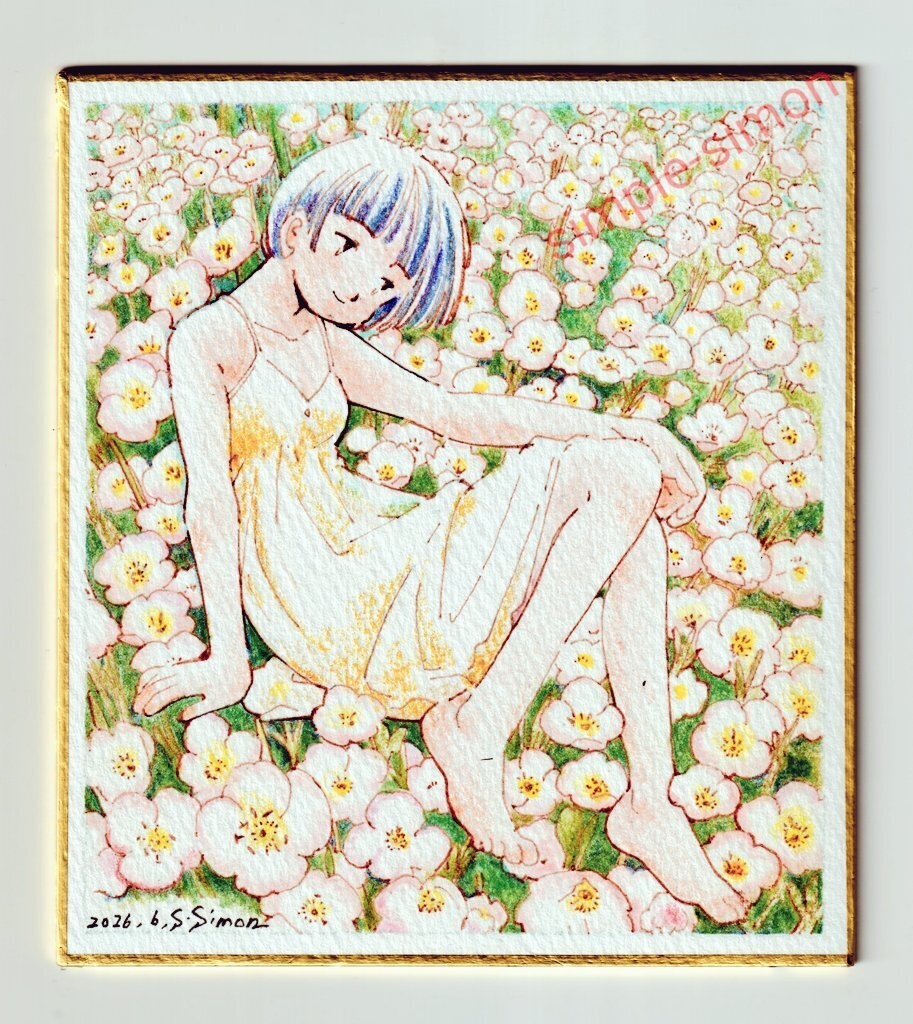 ミニ色紙原画「ツキミソウ」