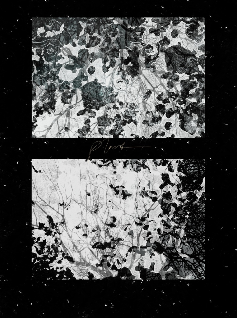 Procreateブラシ CG Garden 150本