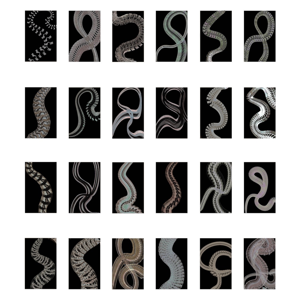 Procreateブラシ EXsnake 「蛇鱗ブラシシリーズ」50本