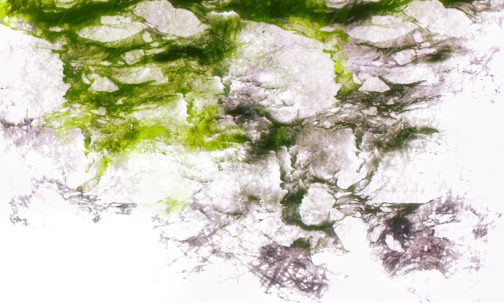 Procreateブラシ 水墨画風「墨絵調背景」50本