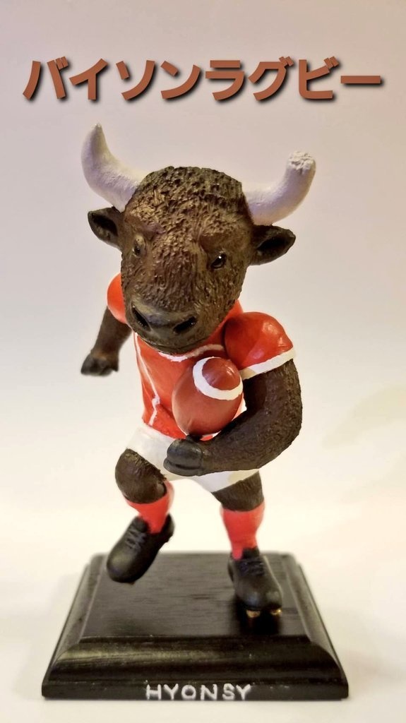 バイソンラグビー