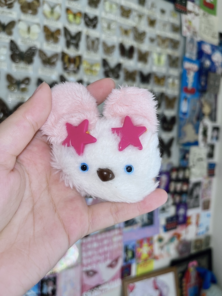 ギャルコアラGal Koala