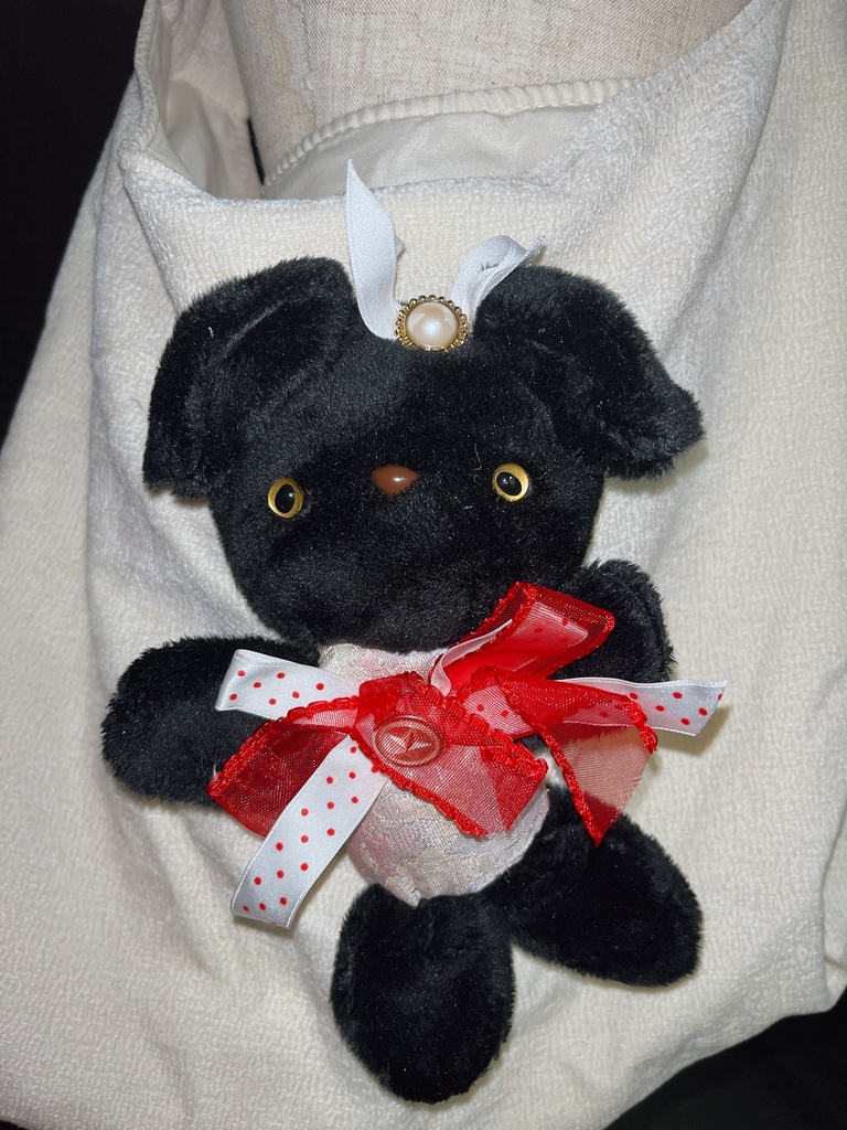 抱っこして肩がけバックBlack