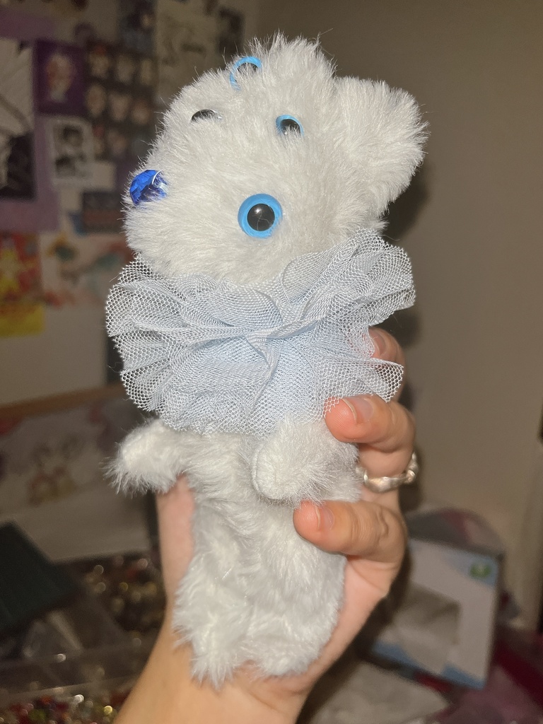 The Child Chosen by Fate