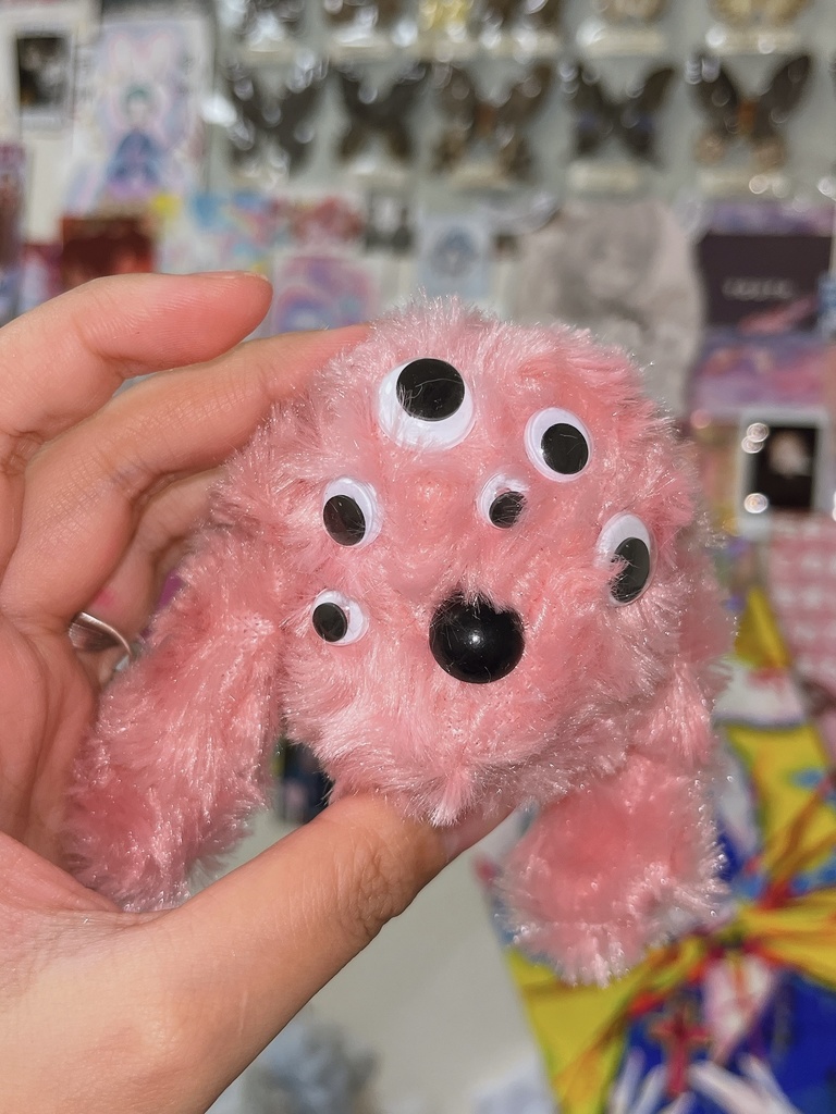 A Strange Little Dog