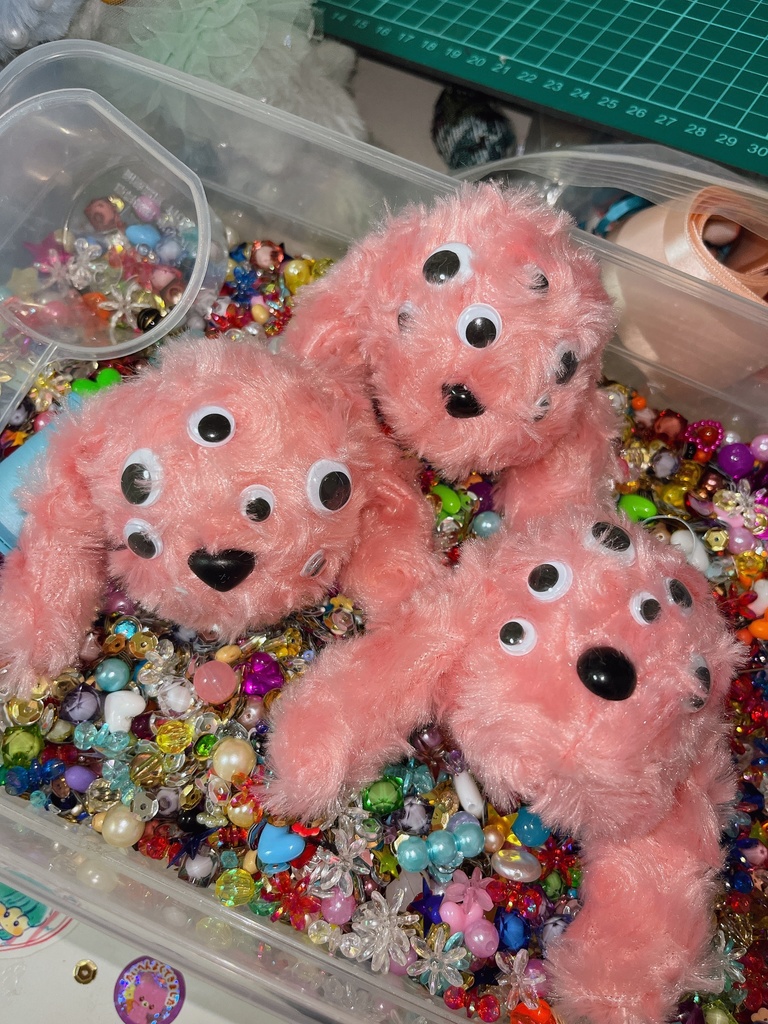 A Strange Little Dog