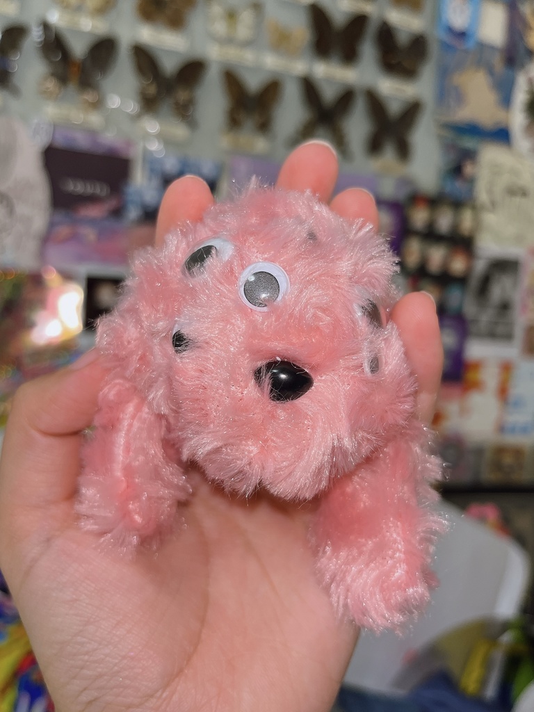 A Strange Little Dog