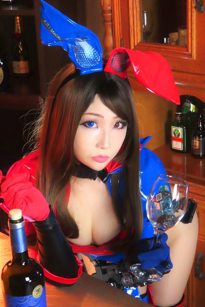 ビルド作品 物理学なバニー!【PC&携帯OK】