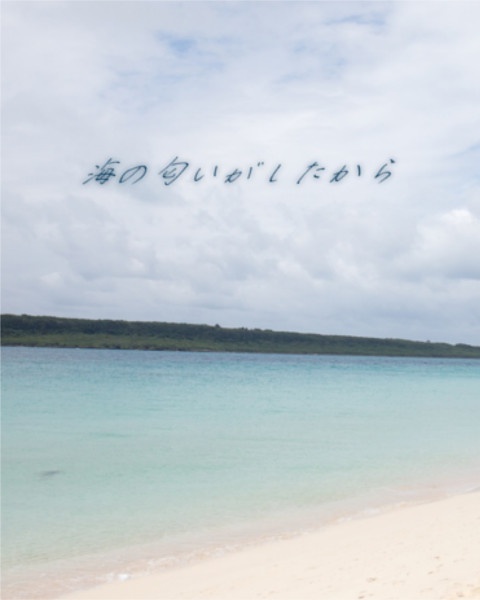 海の匂いがしたから