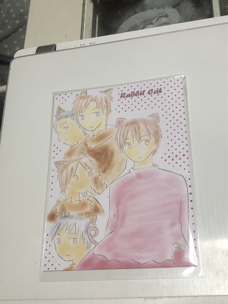 創作ラブコメディ、ラビットキャットの便箋