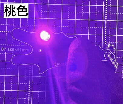 <全6色> Lチカ黒ワニキーホルダー