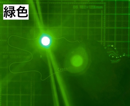 <全6色> Lチカ黒ワニキーホルダー