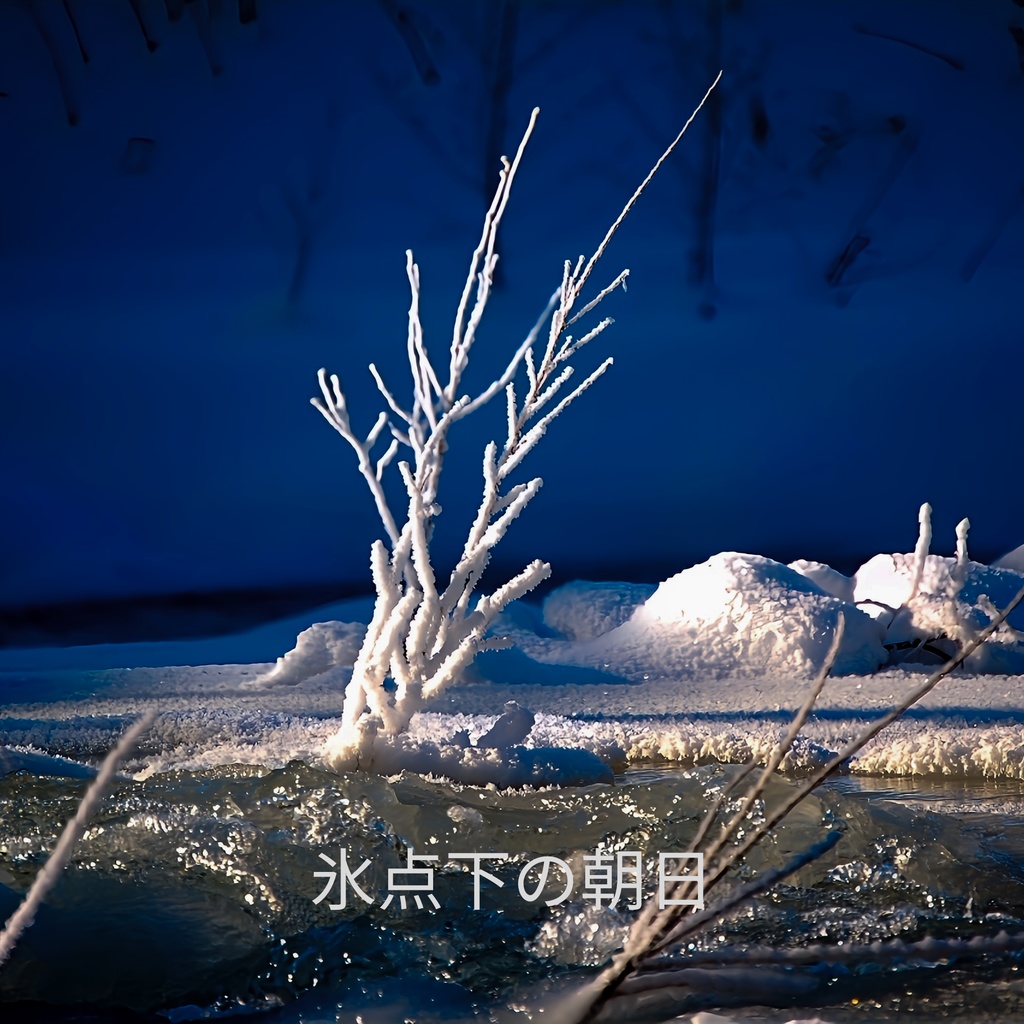 氷点下の朝日