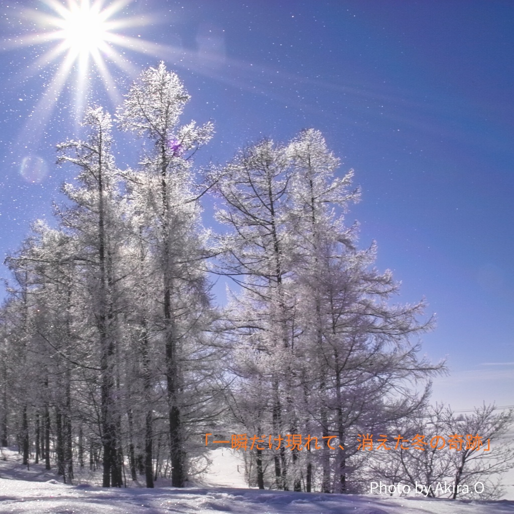 「一瞬だけ現れて、消えた冬の奇跡」
