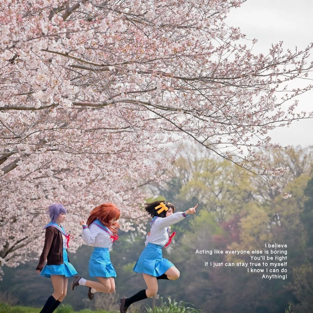 【DL版画像集】SOS団の思い出