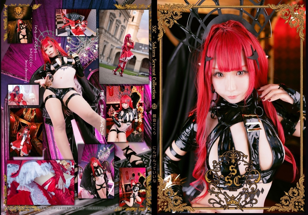 【ROM版】【C101】FG〇バーヴァンシーROM　コスプレROM写真集