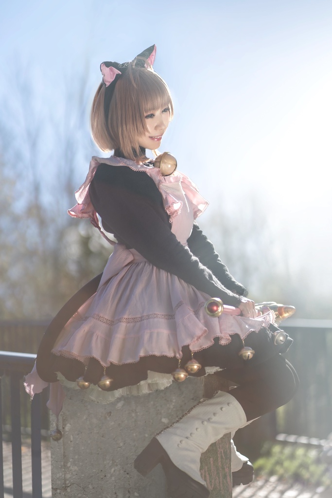 【C102】【ROM】カードキャプターさくらROM「わたしのすきなひと+4」